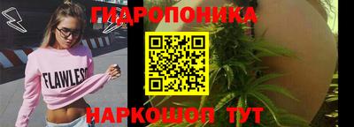 ECSTASY Донской